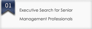 Executive Search for Senior Management Professionals